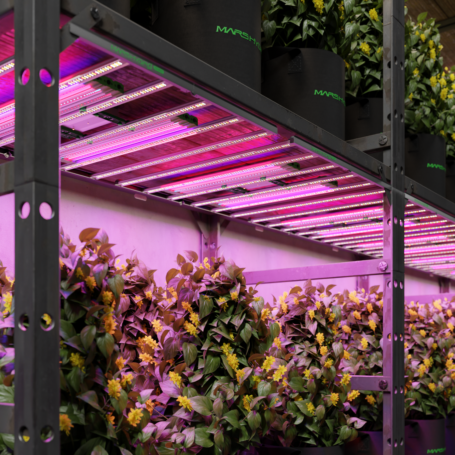 Mars Hydro ADlite UV 30 + IR 15 Supplemental LED Grow Light Bars Combo