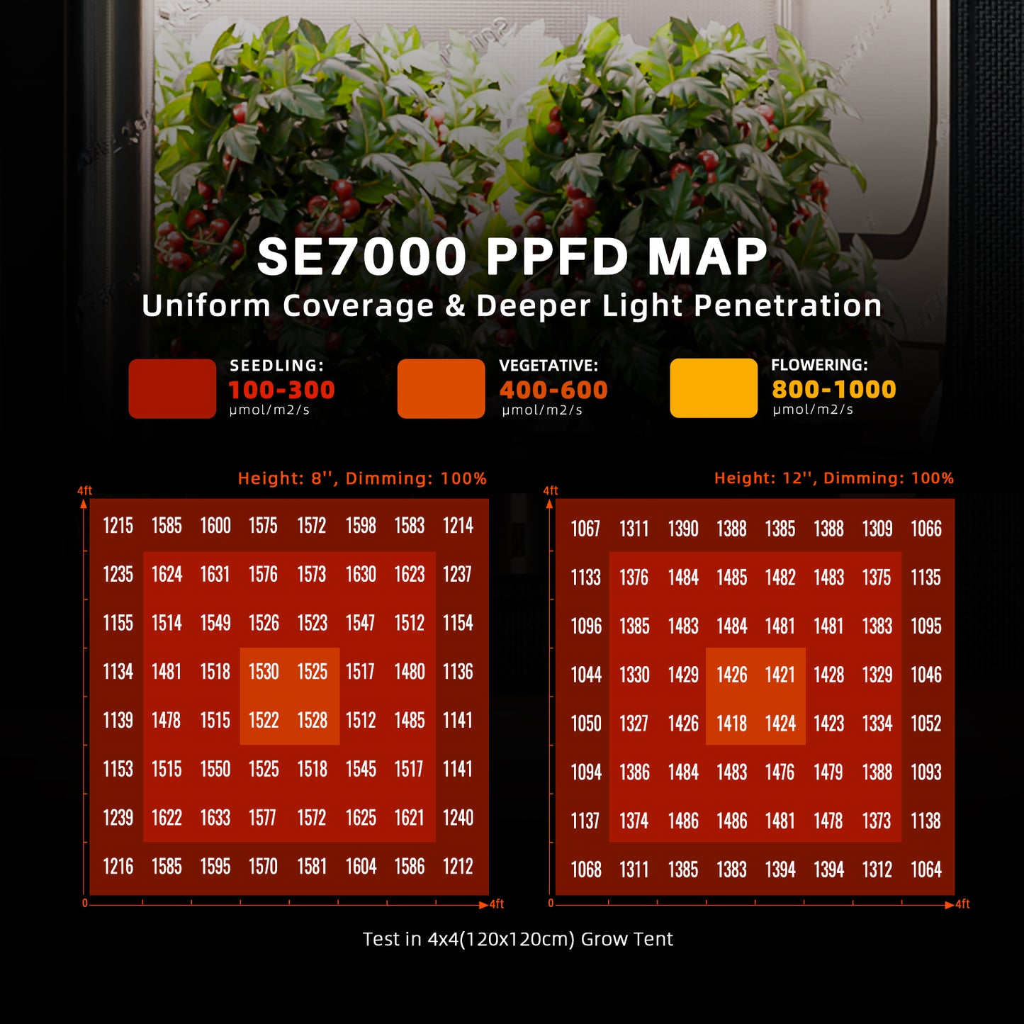 Spider Farmer SE7000 Kweek Tent Kit Compleet – 150×150×200 cm Tent + 730W Full Spectrum LED + Nieuw 6″ Inline Fan met GGS Controller