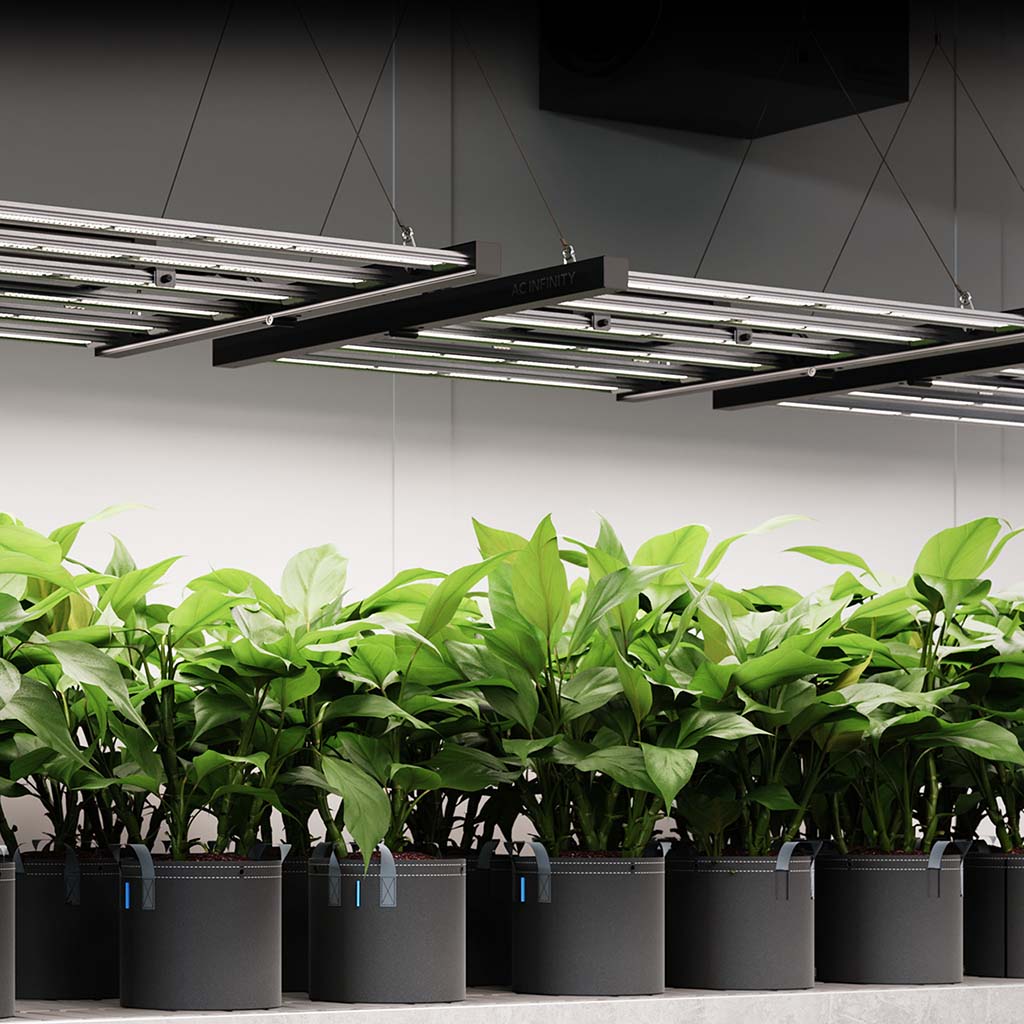 AC Infinity IONFRAME EVO8 – Samsung LM301H EVO Commercial LED Grow Light, 730W, tot 150 x 150 cm