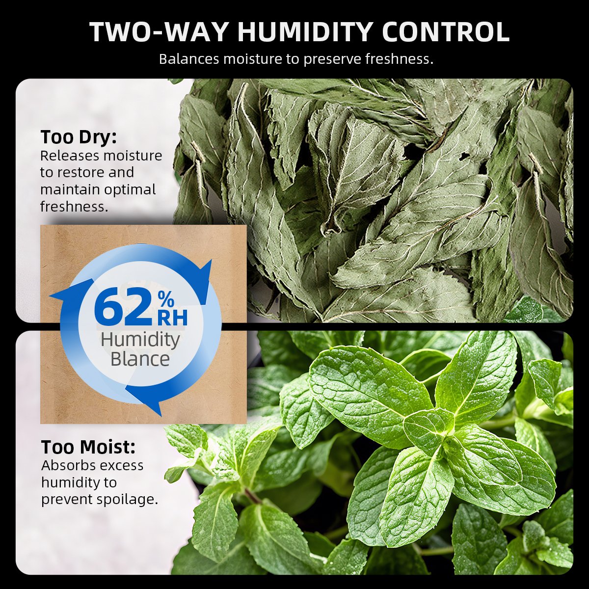 smart lid jar met temperatuurdisplay – humidity controlled jar – Temperaturanzeige Glas