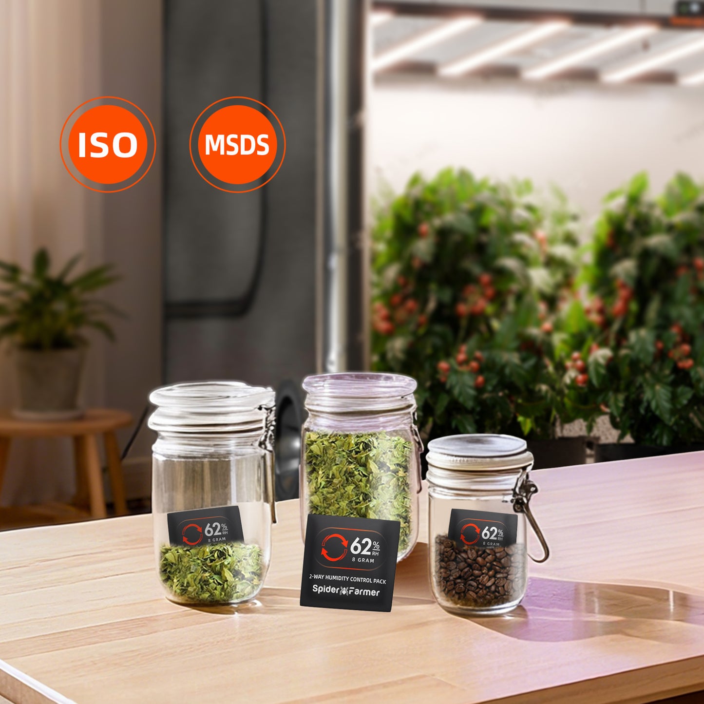 Spider Farmer 62% RH packs voor het voorkomen van uitdroging en schimmel, humidity control for long term herb storage, Feuchtigkeitsregulierung gegen Schimmelbildung
