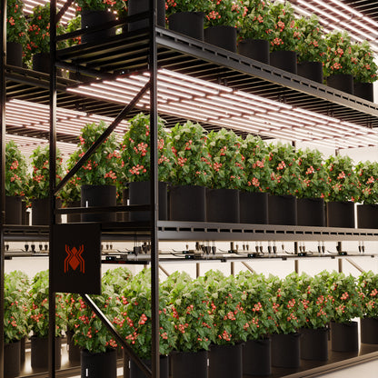 Spider Farmer G1000W LED Growbox Beleuchtung mit 2.9 µmol/J Effizienz für maximale Erträge im 5x5 Setup