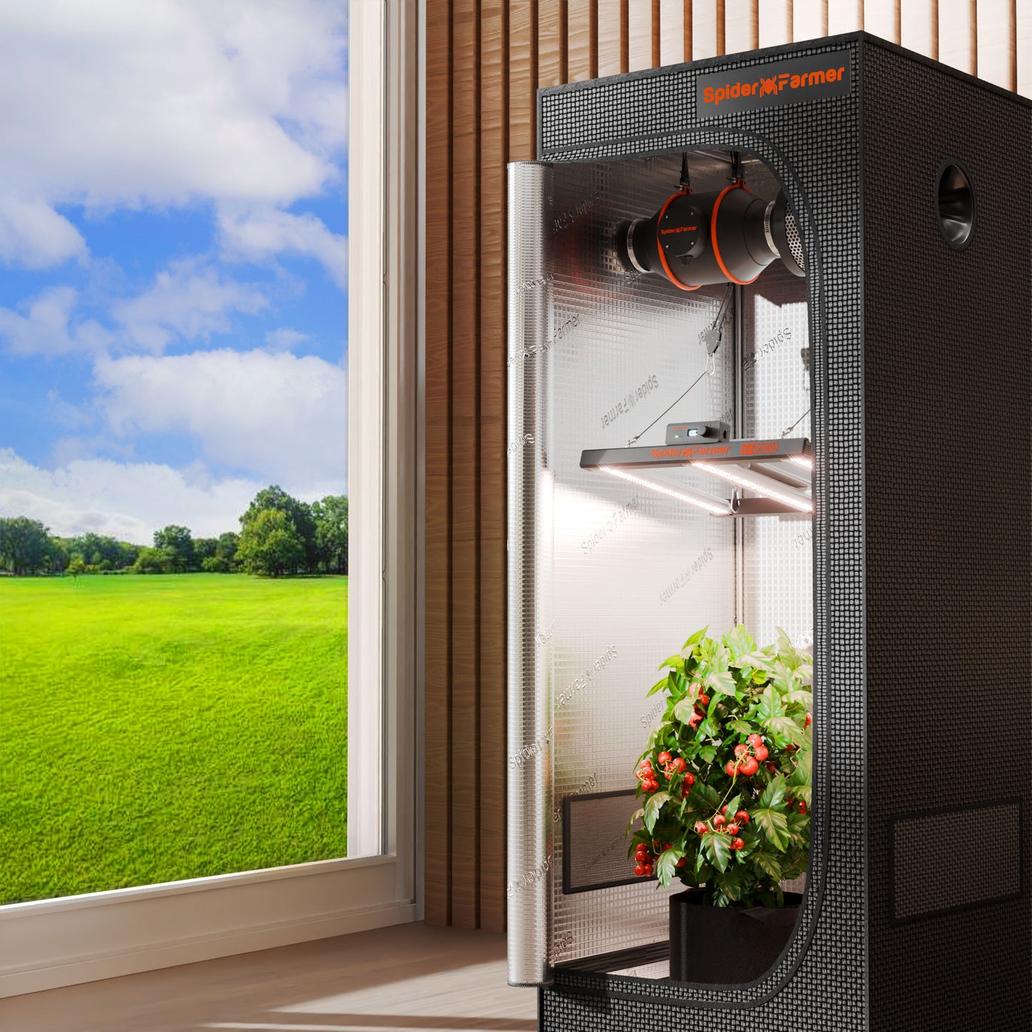 Spider Farmer G3000 indoor kweeklamp met sunrise sunset simulatie