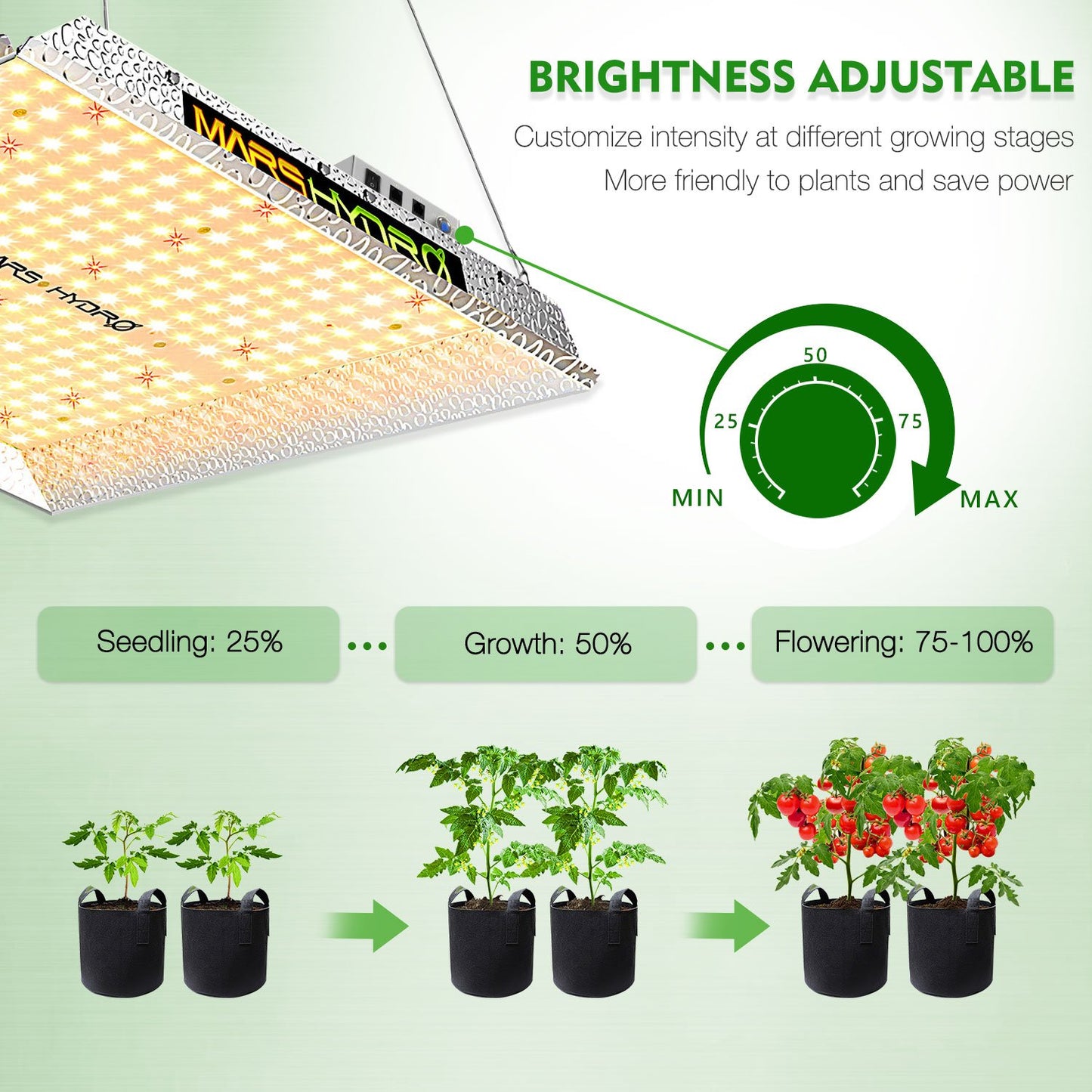 MARS HYDRO TSW 2000 (dimbar) 2,6µmol/J 300W LED-blomlampa/Quark-ljus