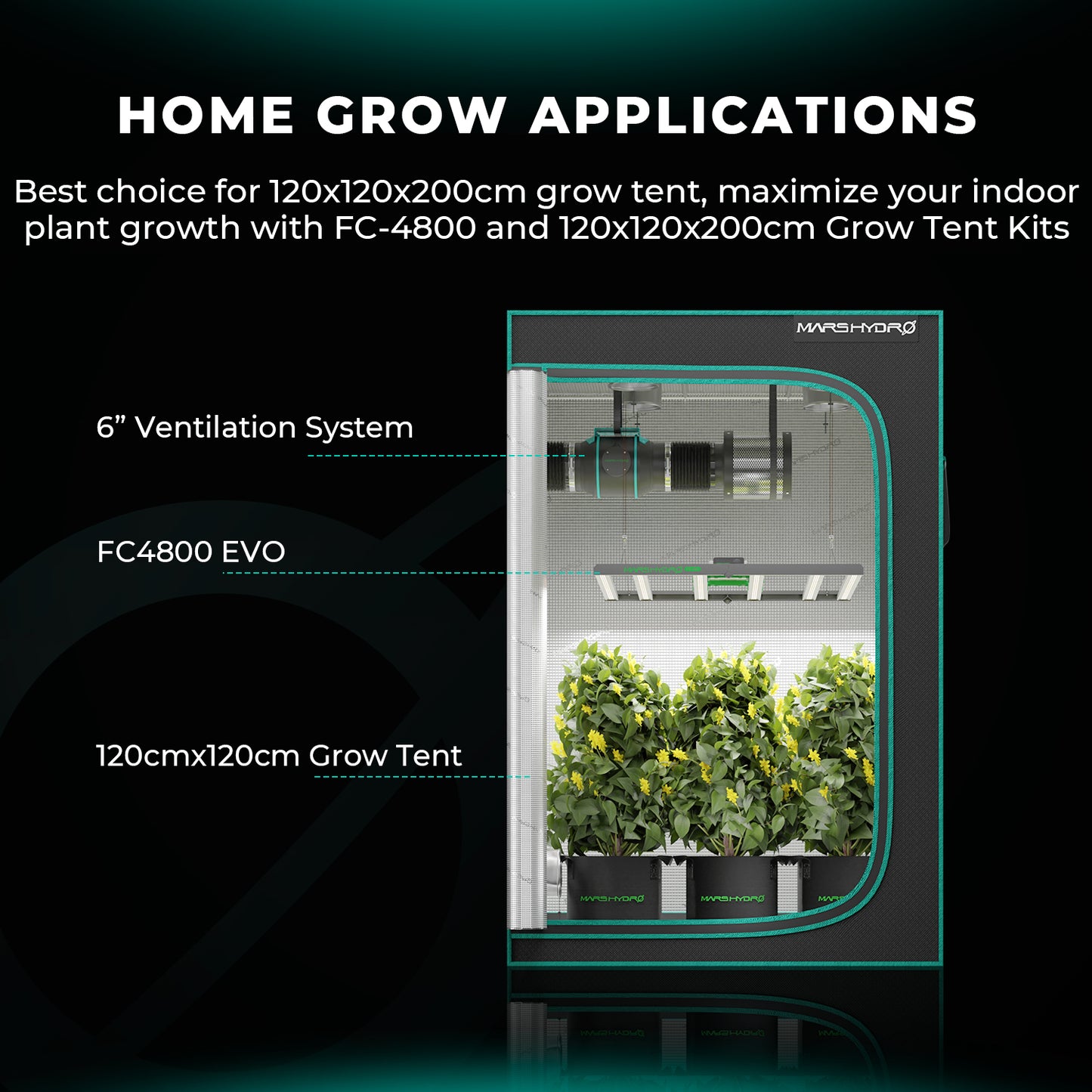 Energiezuinige 480W LED groeilamp voor hogere opbrengst – Energy efficient 480W LED grow light for higher yield – Energieeffiziente 480W LED Growlampe für höhere Erträge