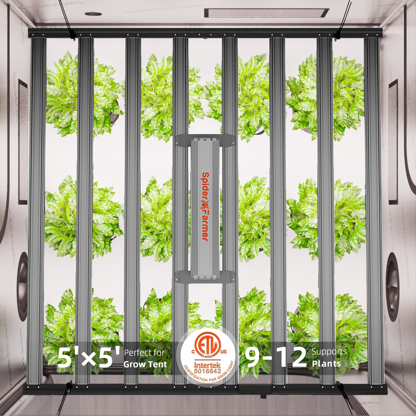 150x150 cm LED kweekverlichting met 2.9 µmol/J efficiëntie, Spider Farmer G1000W grow tent light mit hoher Energieeffizienz