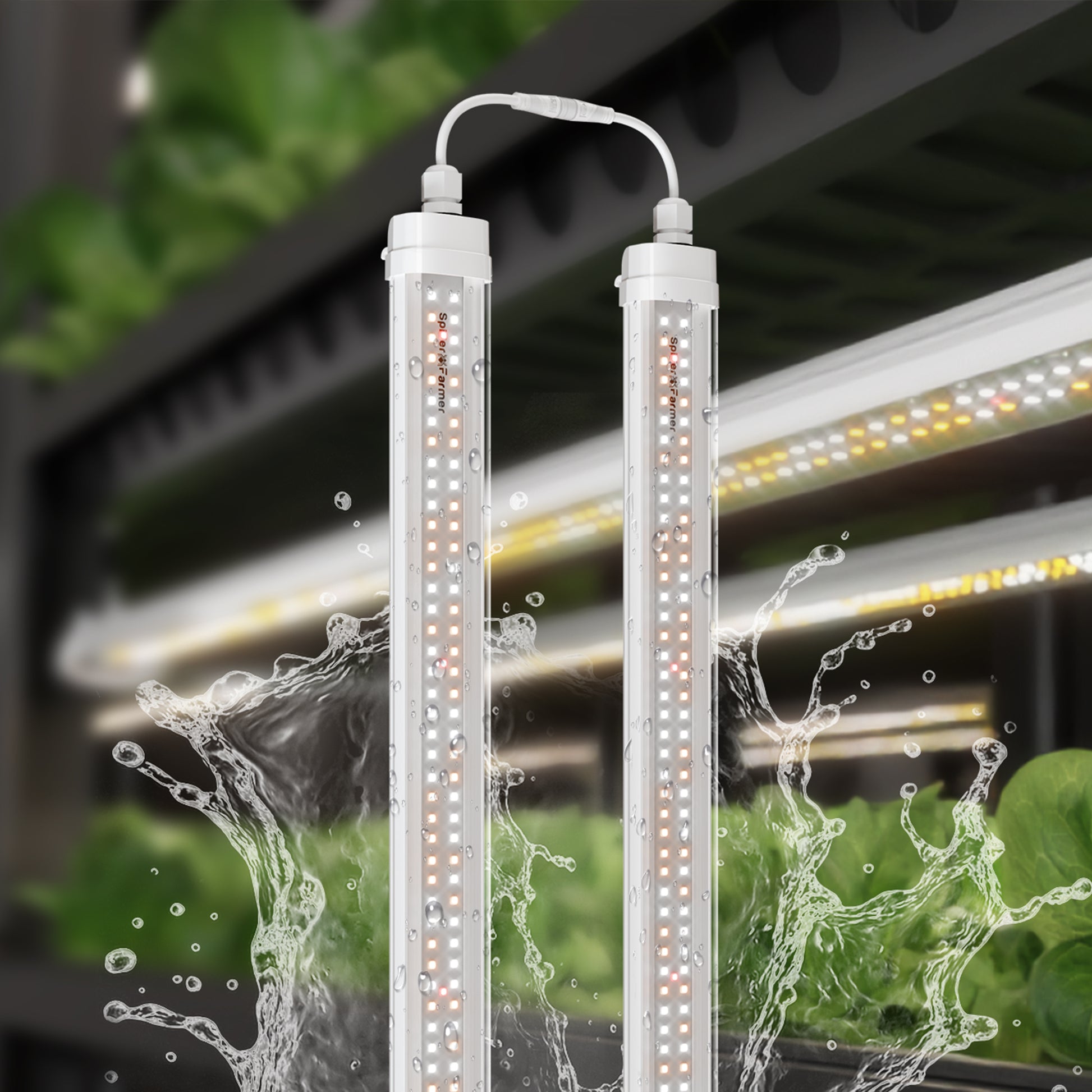 Spider Farmer Glow80 80W LED kweeklamp bar met full spectrum licht voor stekken en vegetatieve groei, 80W grow light bar für Growbox und Propagation