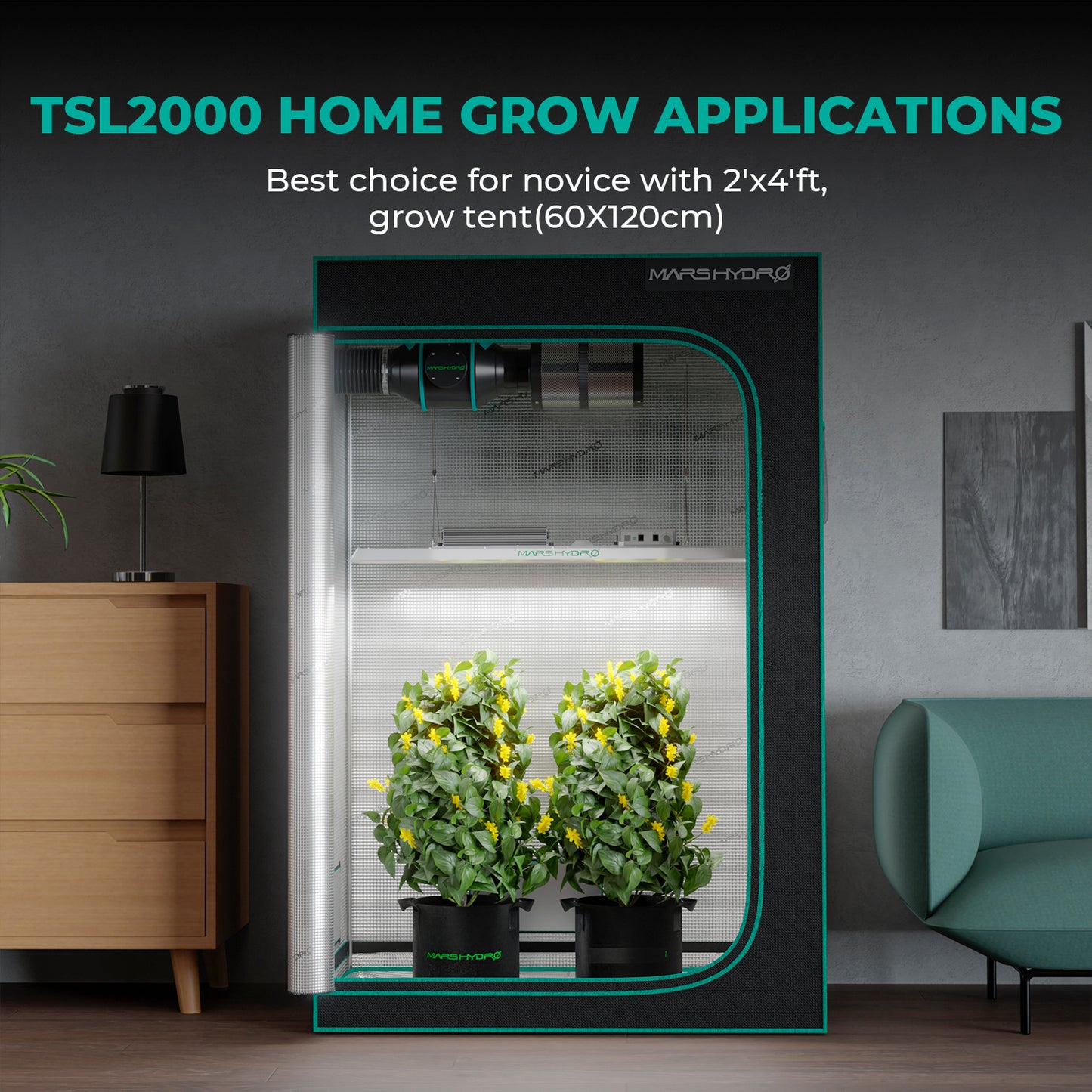 Mars Hydro TSL2000 300W LED grow light voor 4 tot 6 planten | Mars Hydro TSL2000 300W LED grow light for 4 to 6 plants | Mars Hydro TSL2000 300W LED Grow Licht für 4 bis 6 Pflanzen