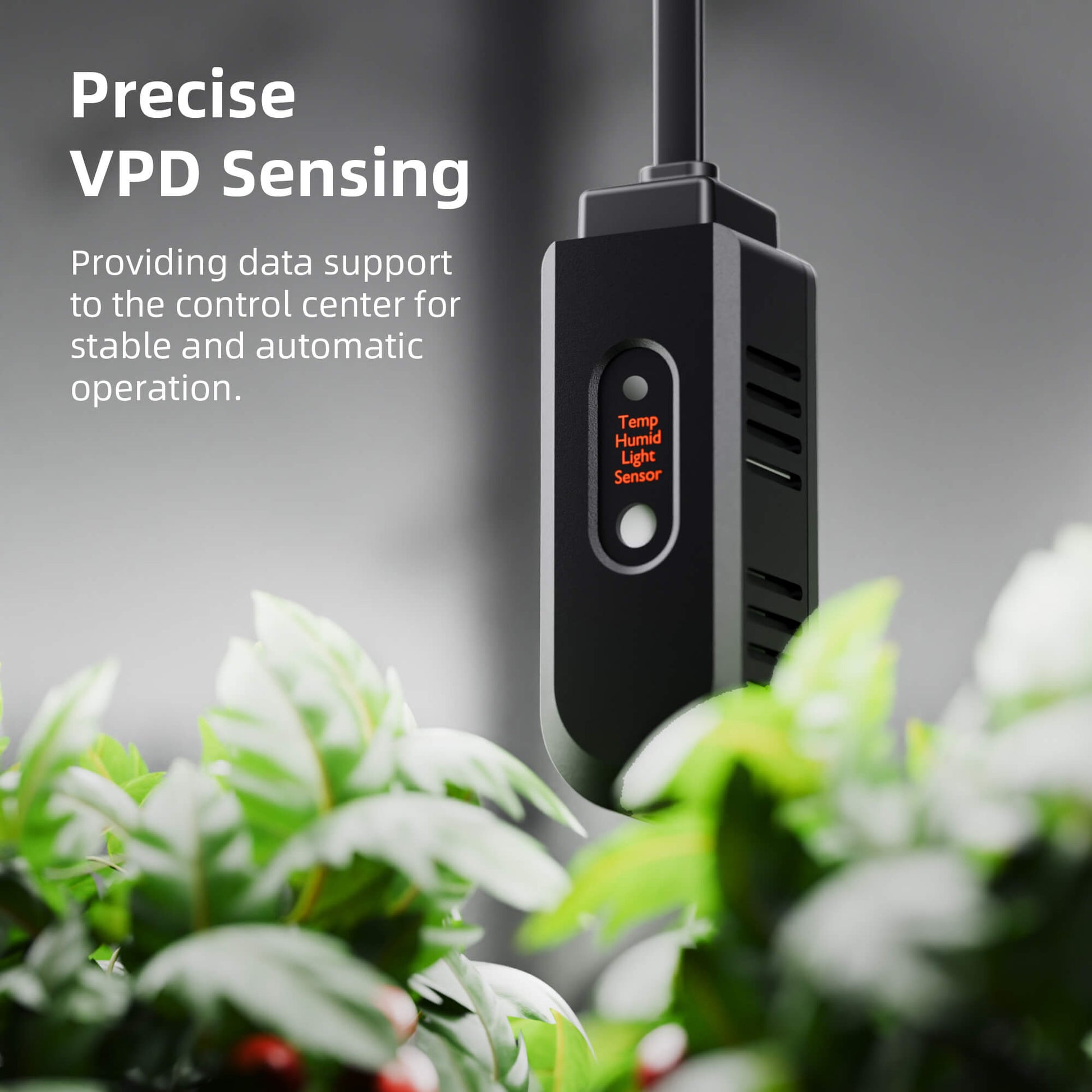 spider farmer kweektent 90x90x180 cm | spider farmer 3x3 grow tent | spider farmer zelt 90x90x180