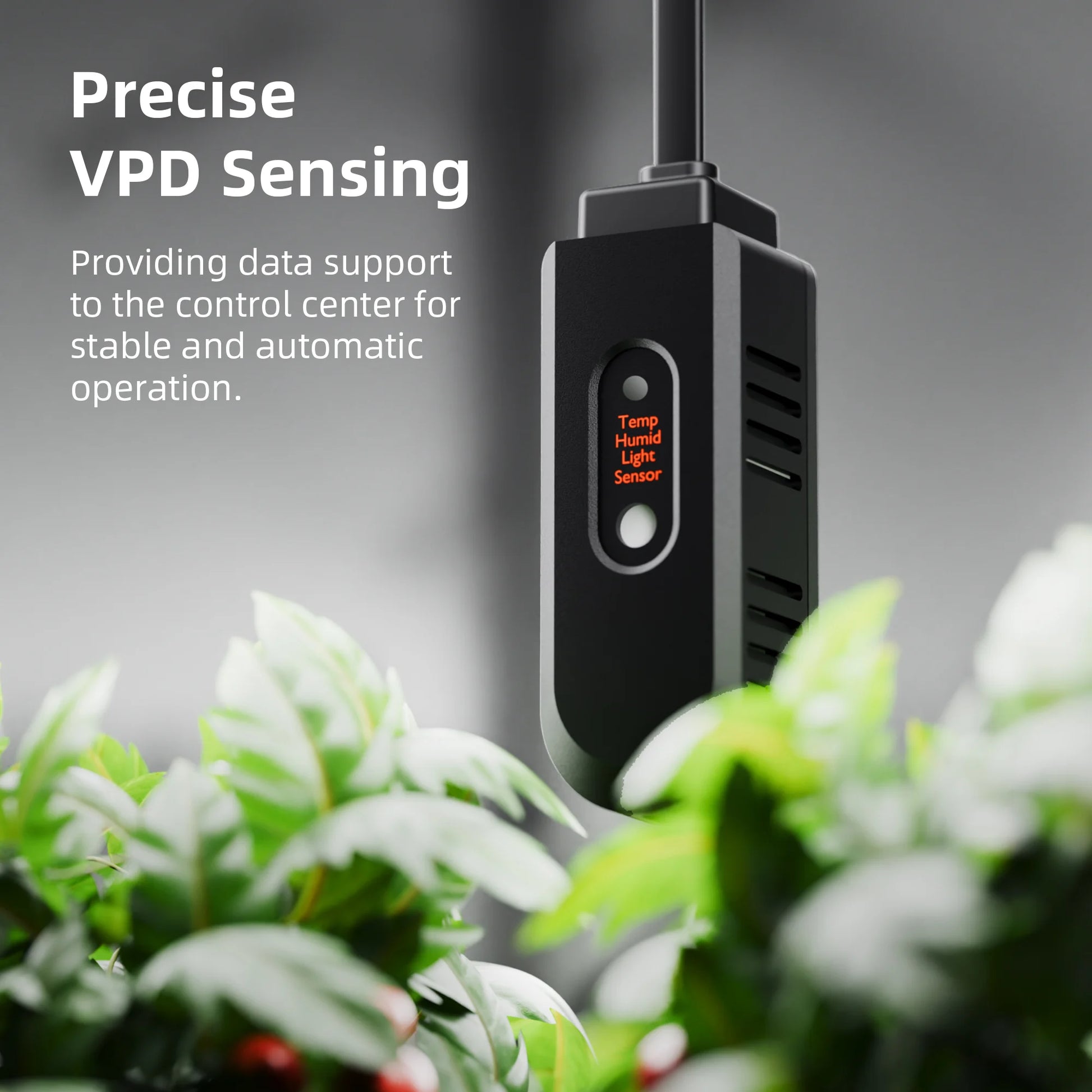 spider farmer g3000 trellis net | g3000 plant trellis net | g3000 pflanzennetz