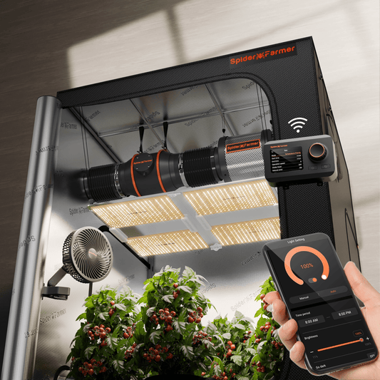 Spider Farmer SF7000 650W LED complete kweektent set 150×150×200 cm met smart ventilatie / complete grow tent kit with smart ventilation / Komplettes Growzelt Set mit intelligenter Lüftung