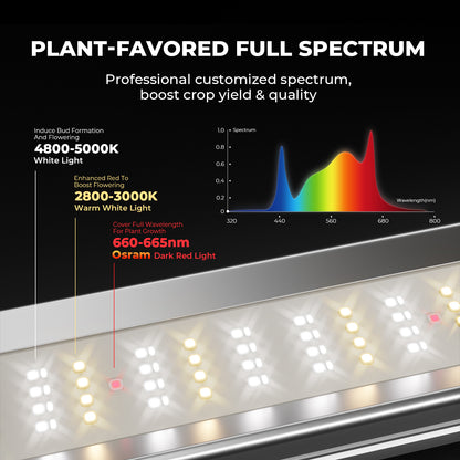 Mars Hydro FC-E3000 LED kweeklamp voor 80×80 cm kweektent | Mars Hydro FC-E3000 LED grow light for 80×80 cm grow tent | Mars Hydro FC-E3000 LED Growlampe für 80×80 cm Growzelt