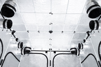 600D lichtdichte kweektent met industriële duurzaamheid / Lightproof 600D grow tent / Lichtdichtes 600D Growzelt