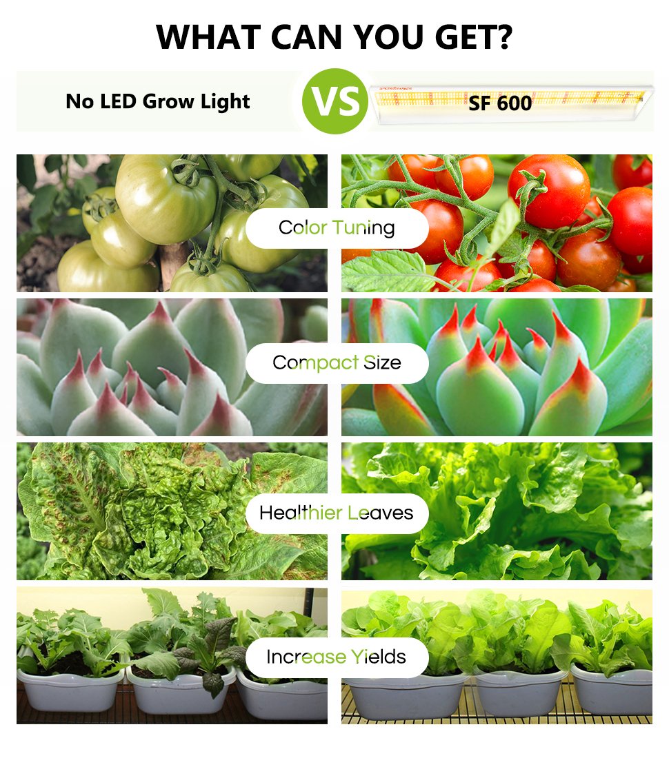 Spider Farmer SF600 74W 2,3 µmol/J LED Grow Light